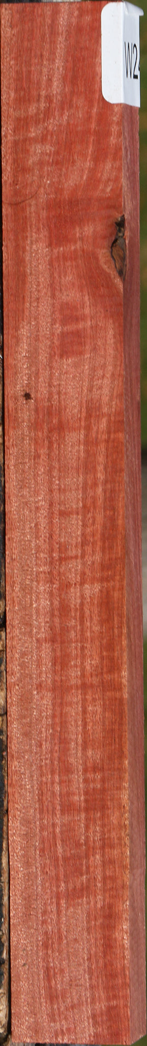 Extra Fancy Pink Ivory Lumber