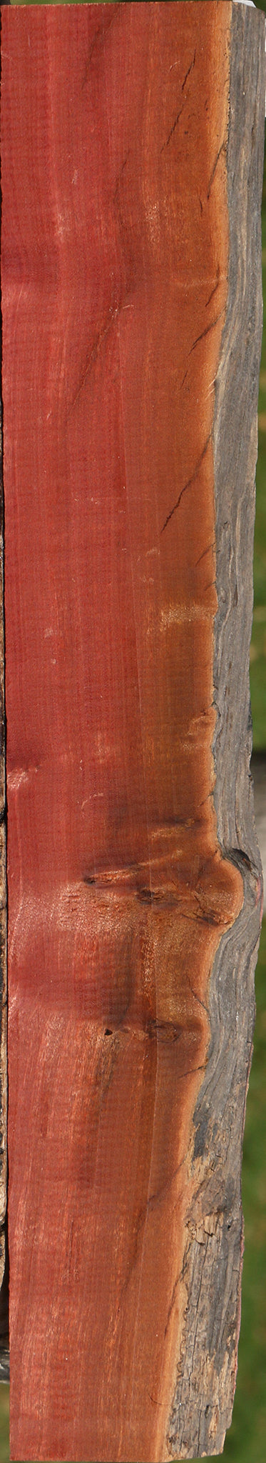 Pink Ivory Live Edge Lumber