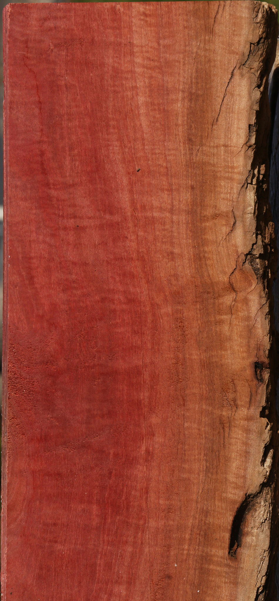 Extra Fancy Pink Ivory Live Edge Lumber