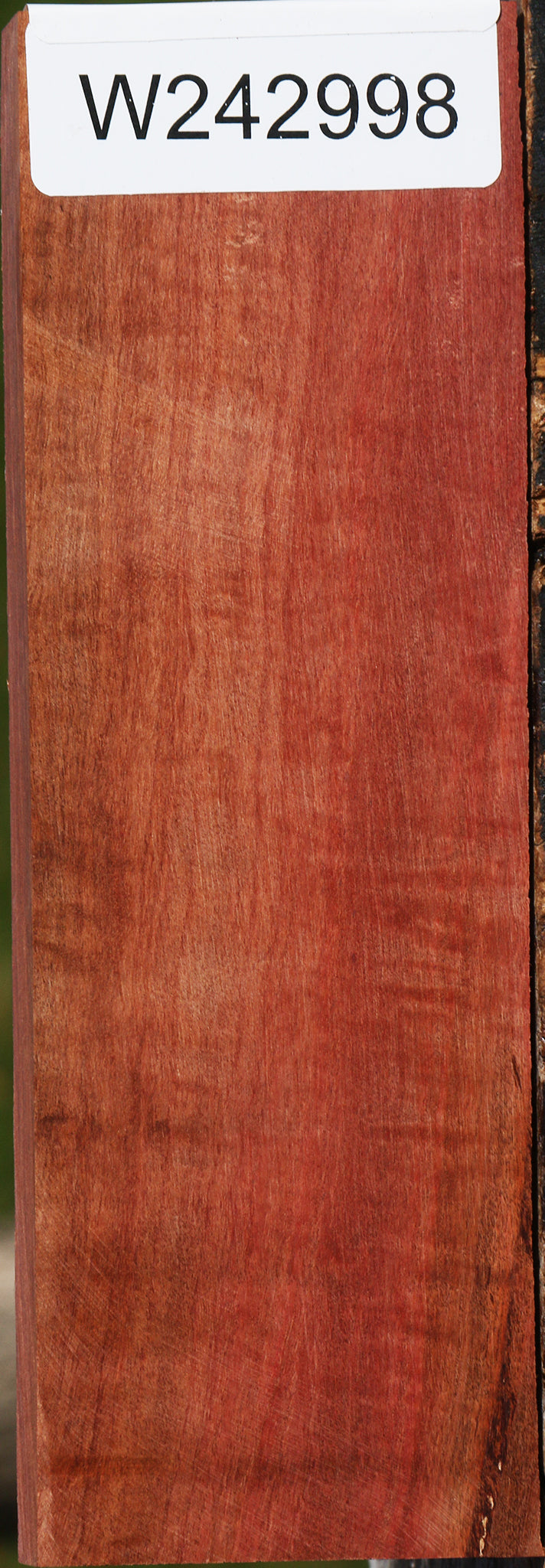 Extra Fancy Pink Ivory Lumber