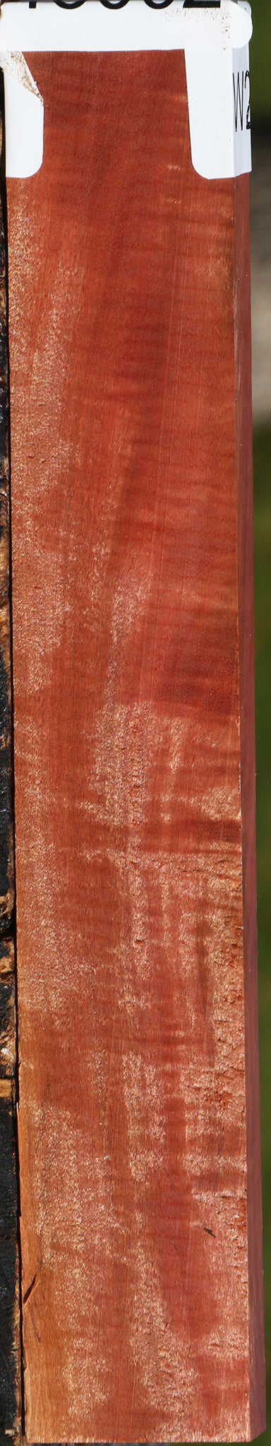 Extra Fancy Pink Ivory Micro Lumber