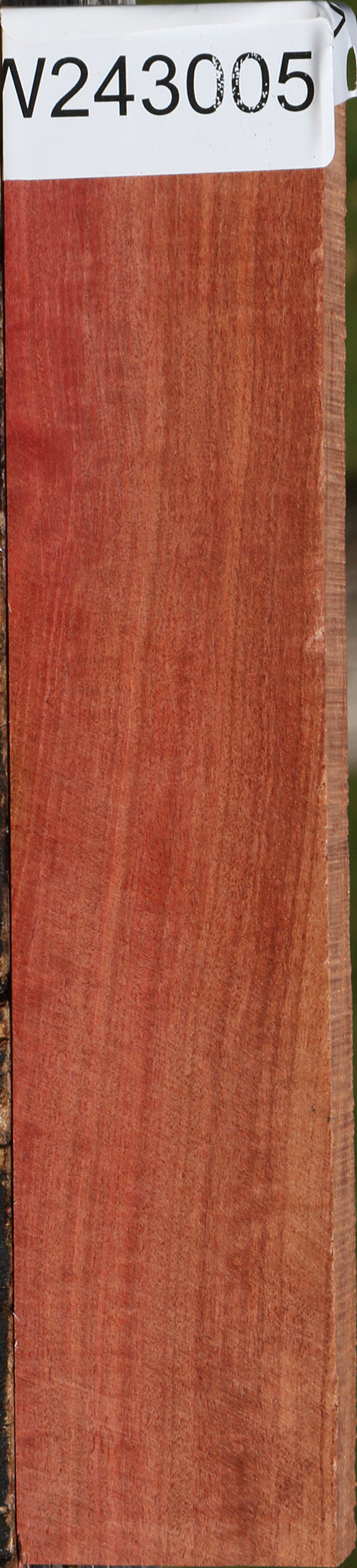 Extra Fancy Pink Ivory Lumber