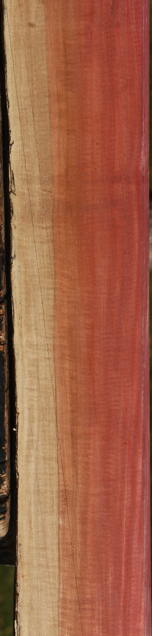 Extra Fancy Pink Ivory Live Edge Lumber