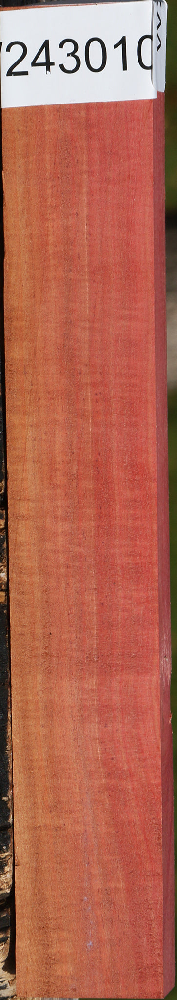 Extra Fancy Pink Ivory Lumber