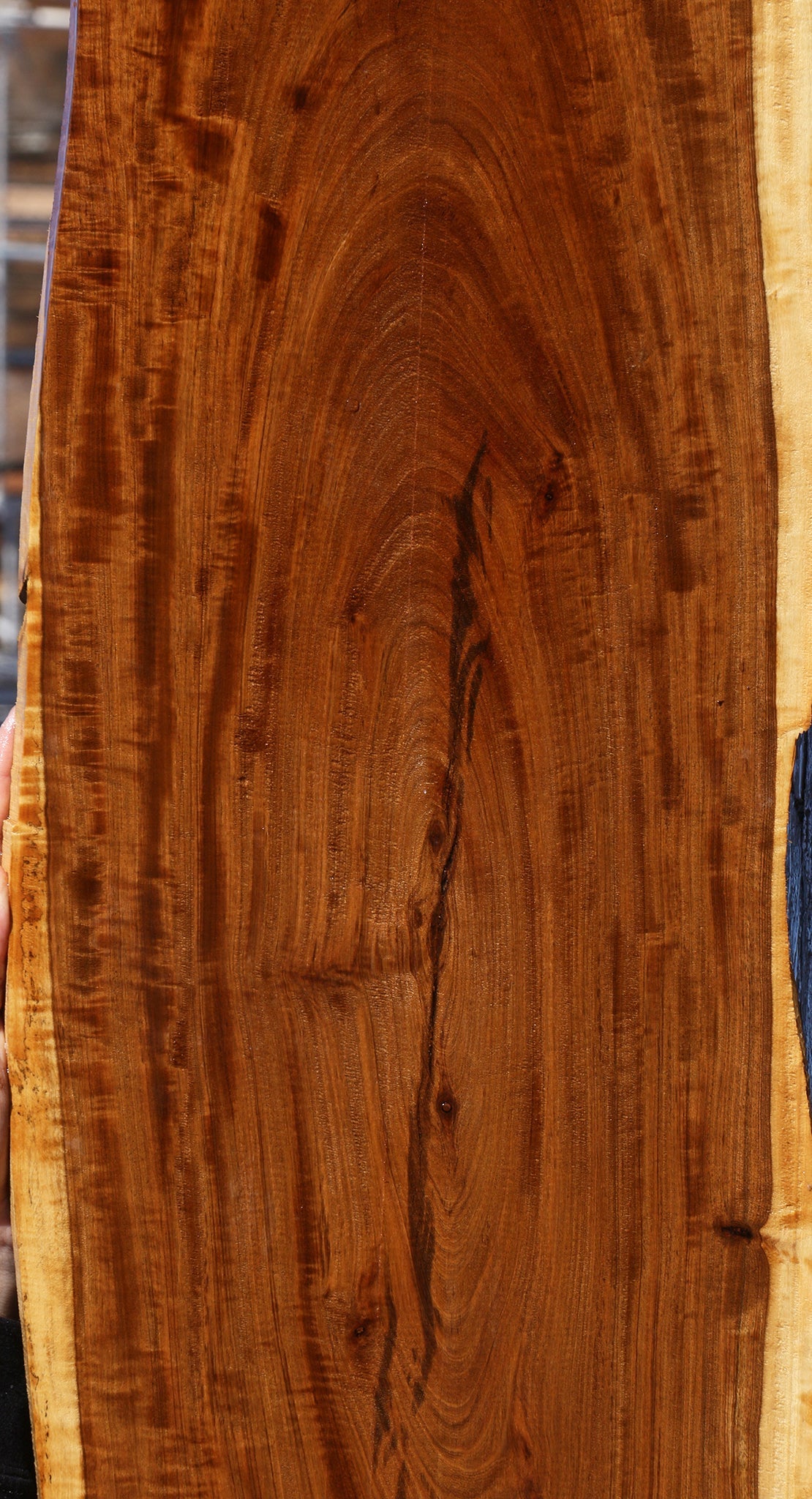 Figured Tamboti Live Edge Lumber