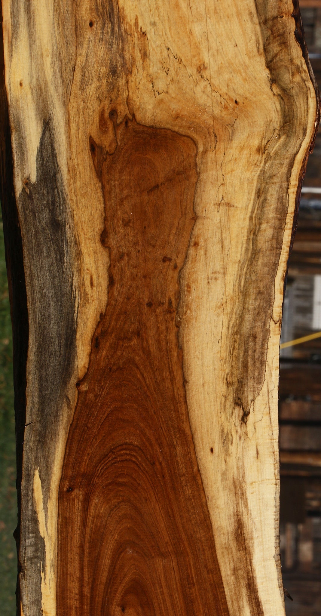 Figured Tamboti Live Edge Lumber