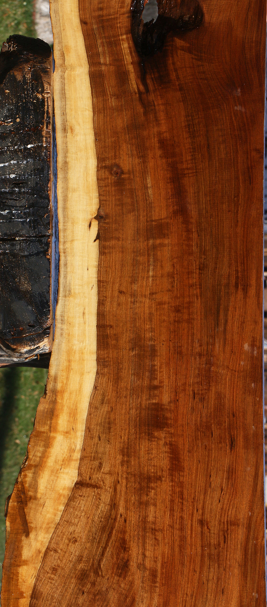 Extra Fancy Tamboti Live Edge Lumber