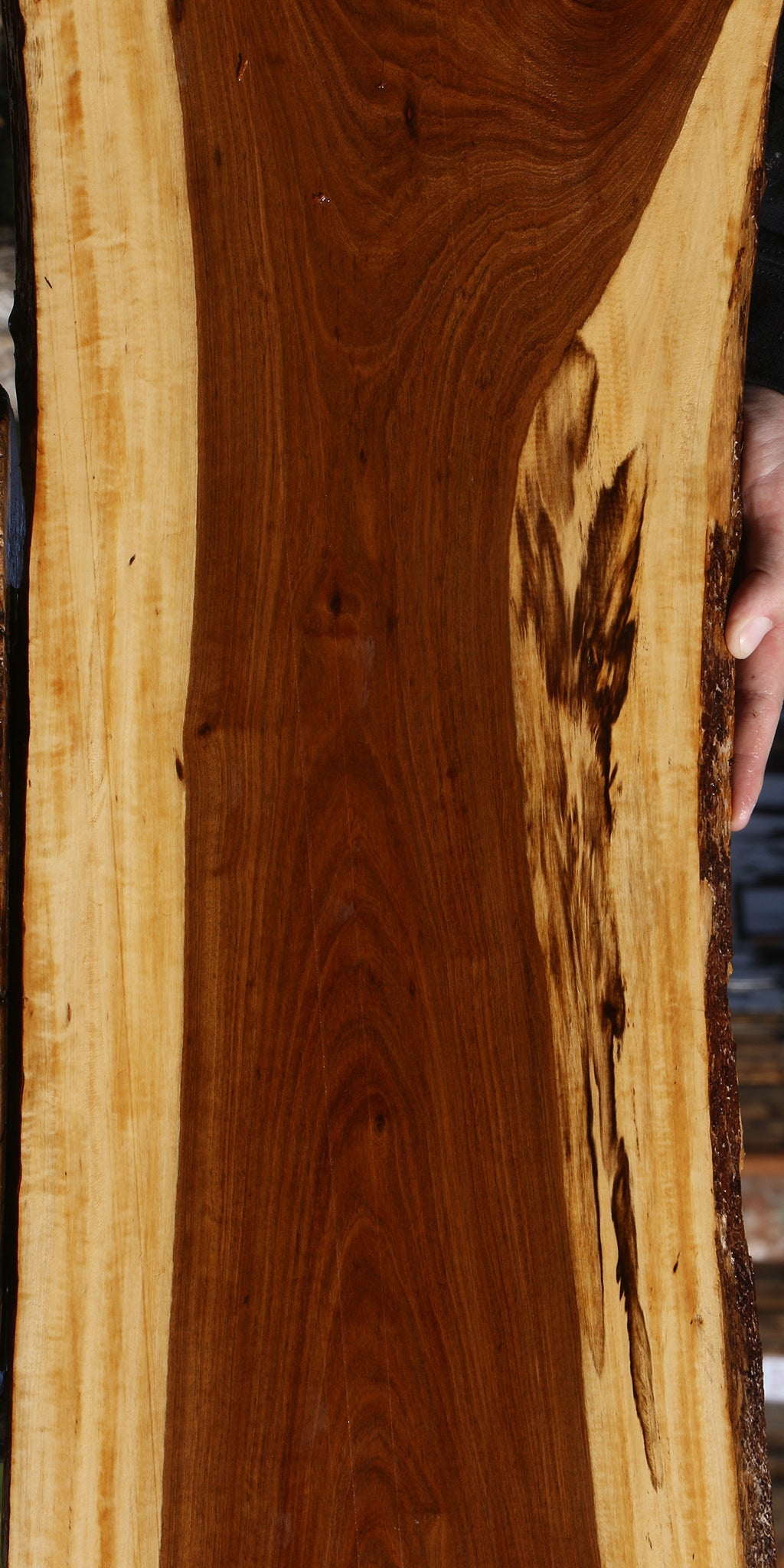 Tamboti Live Edge Lumber