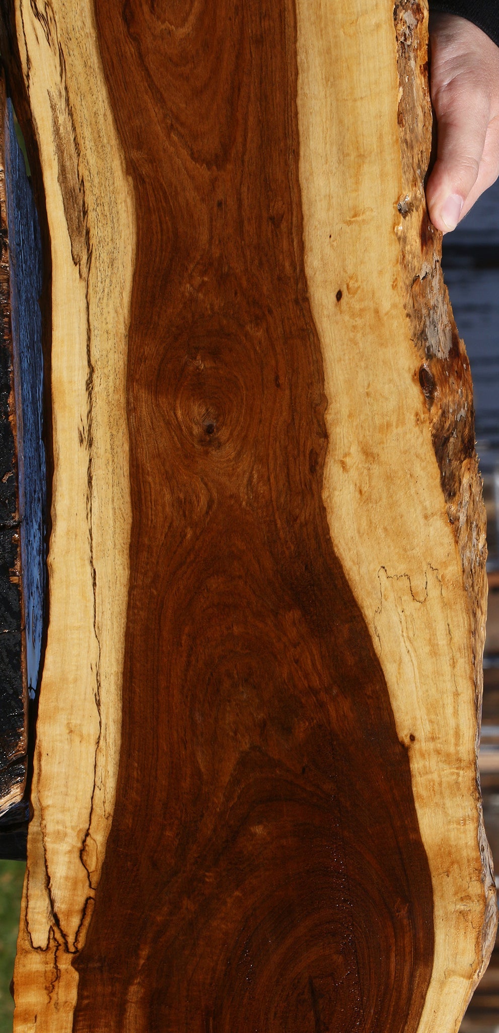 Figured Tamboti Live Edge Lumber