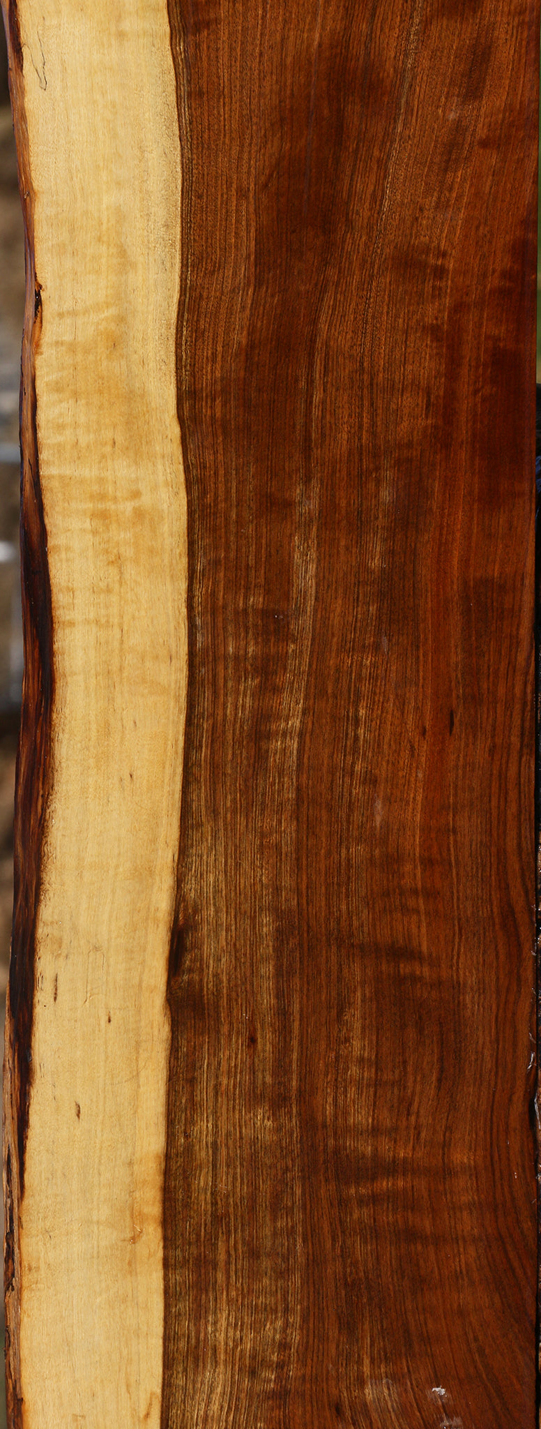 Extra Fancy Tamboti Live Edge Lumber