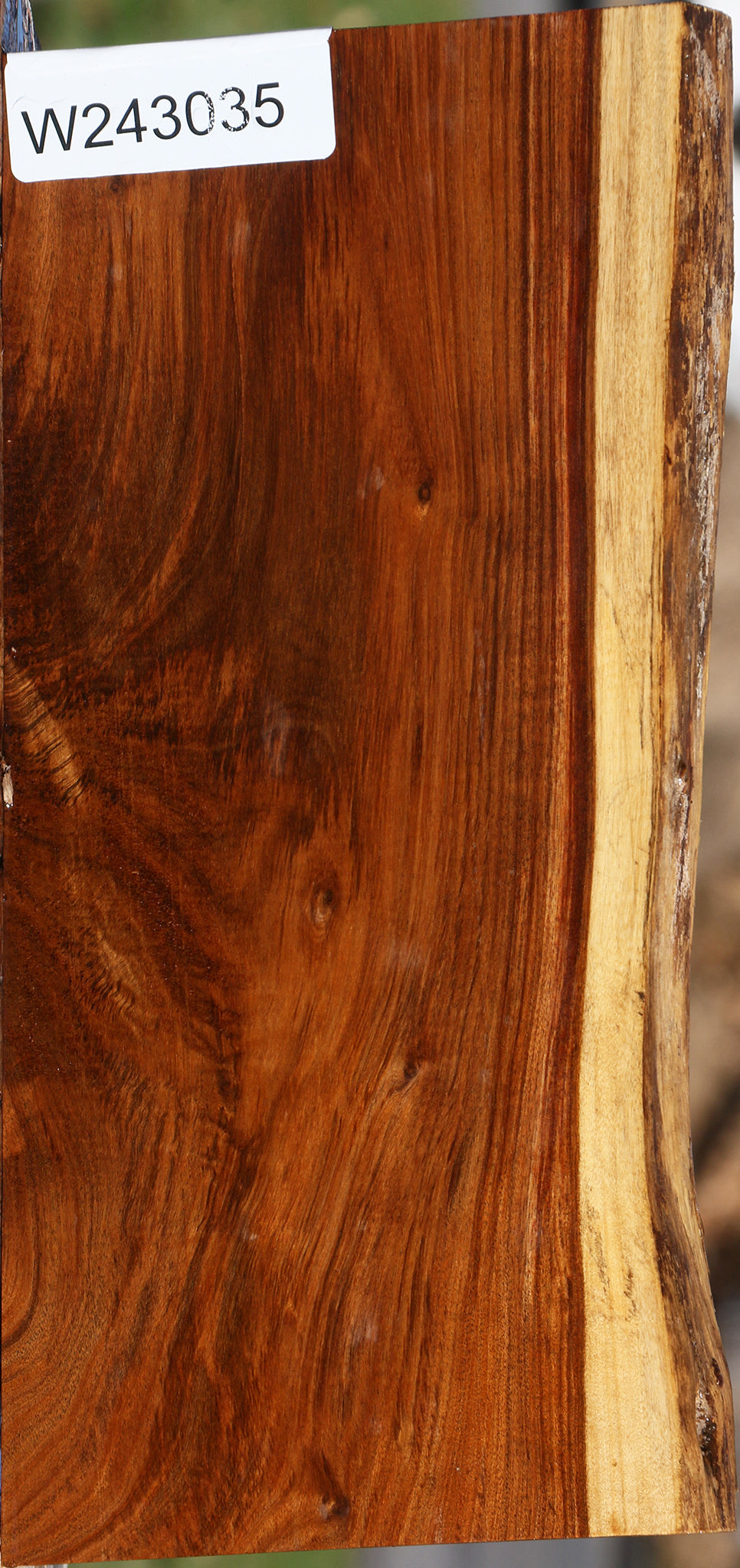 Tamboti Live Edge Lumber