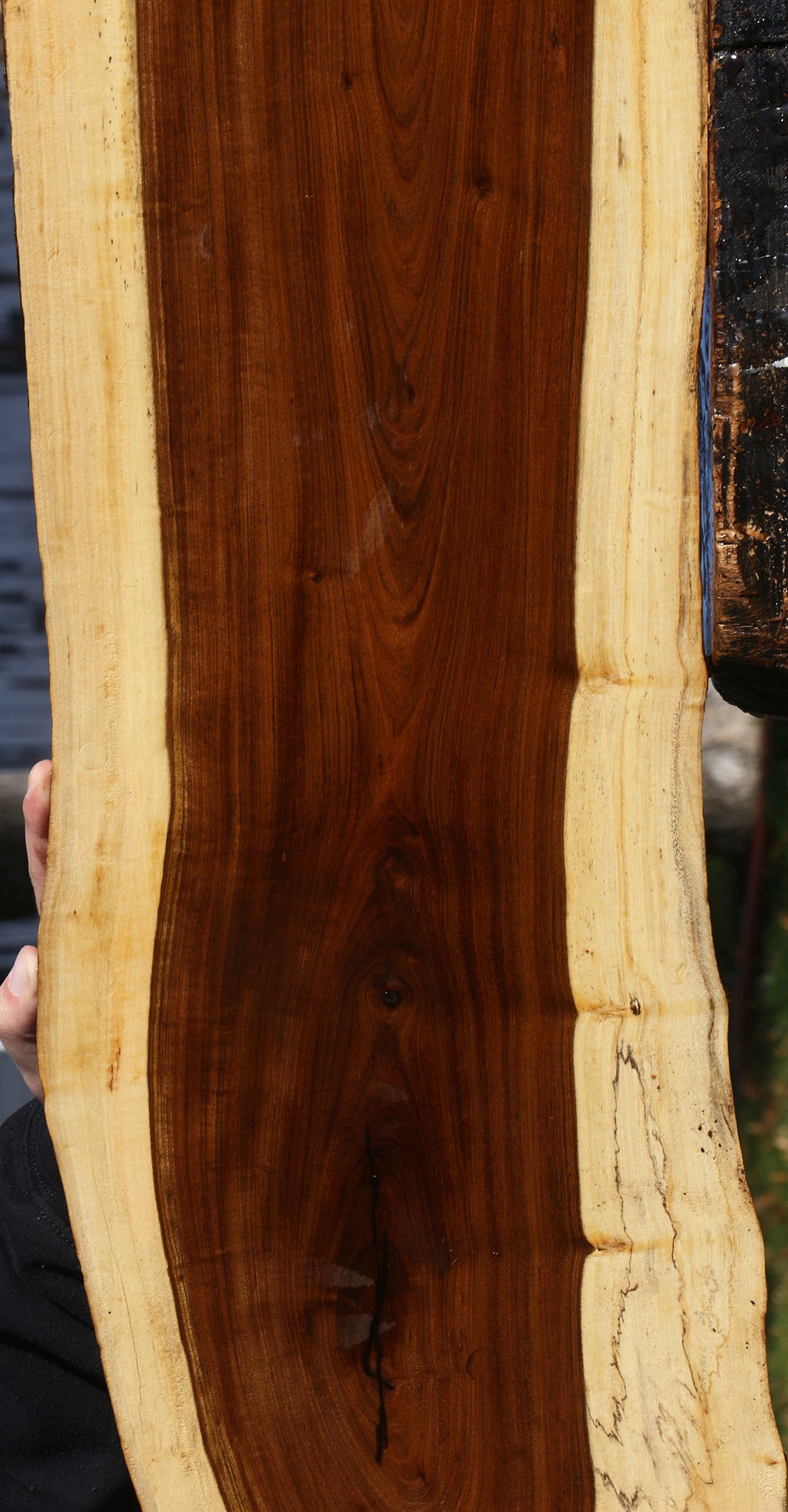 Tamboti Live Edge Lumber