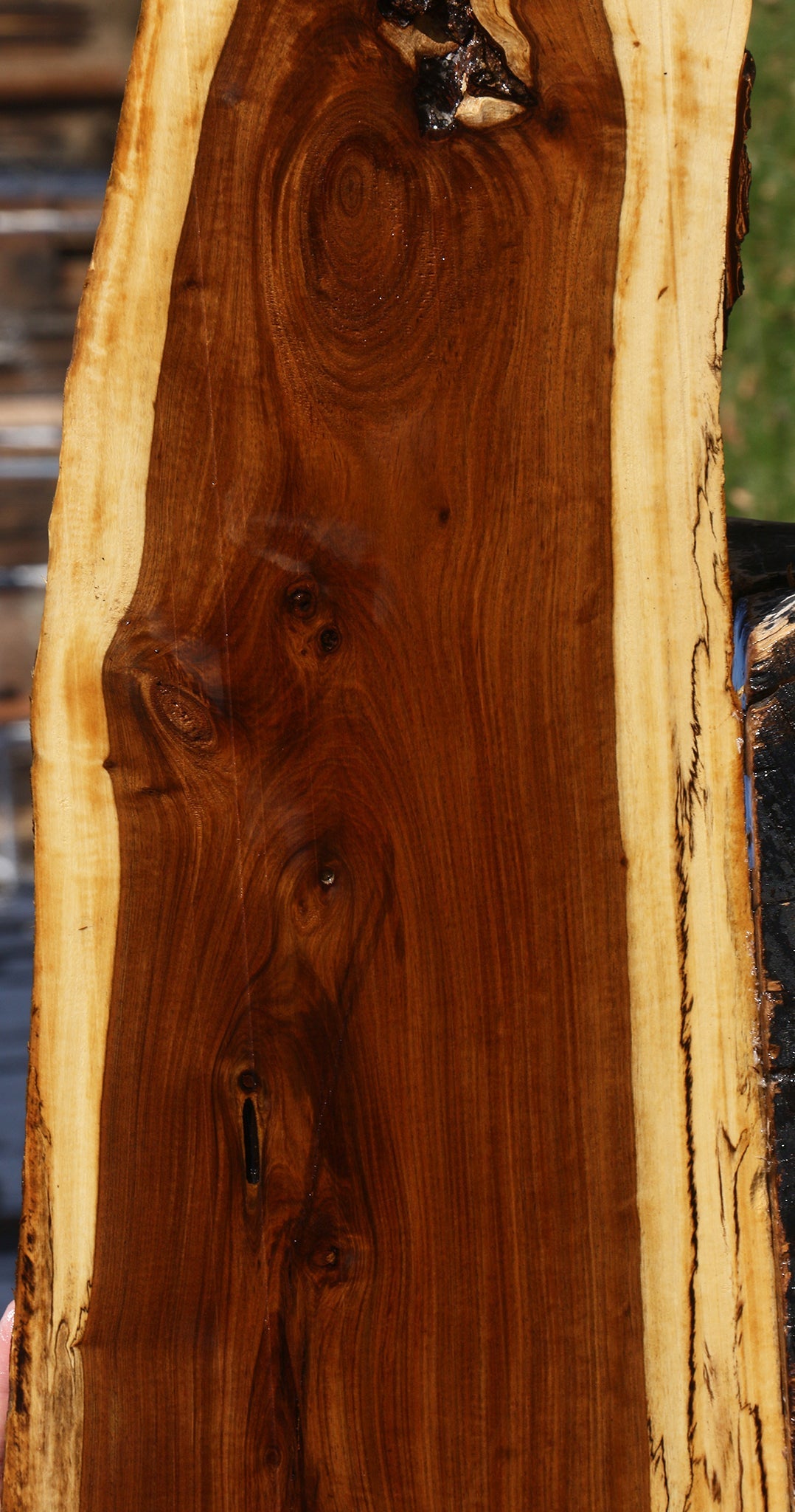 Tamboti Live Edge Lumber