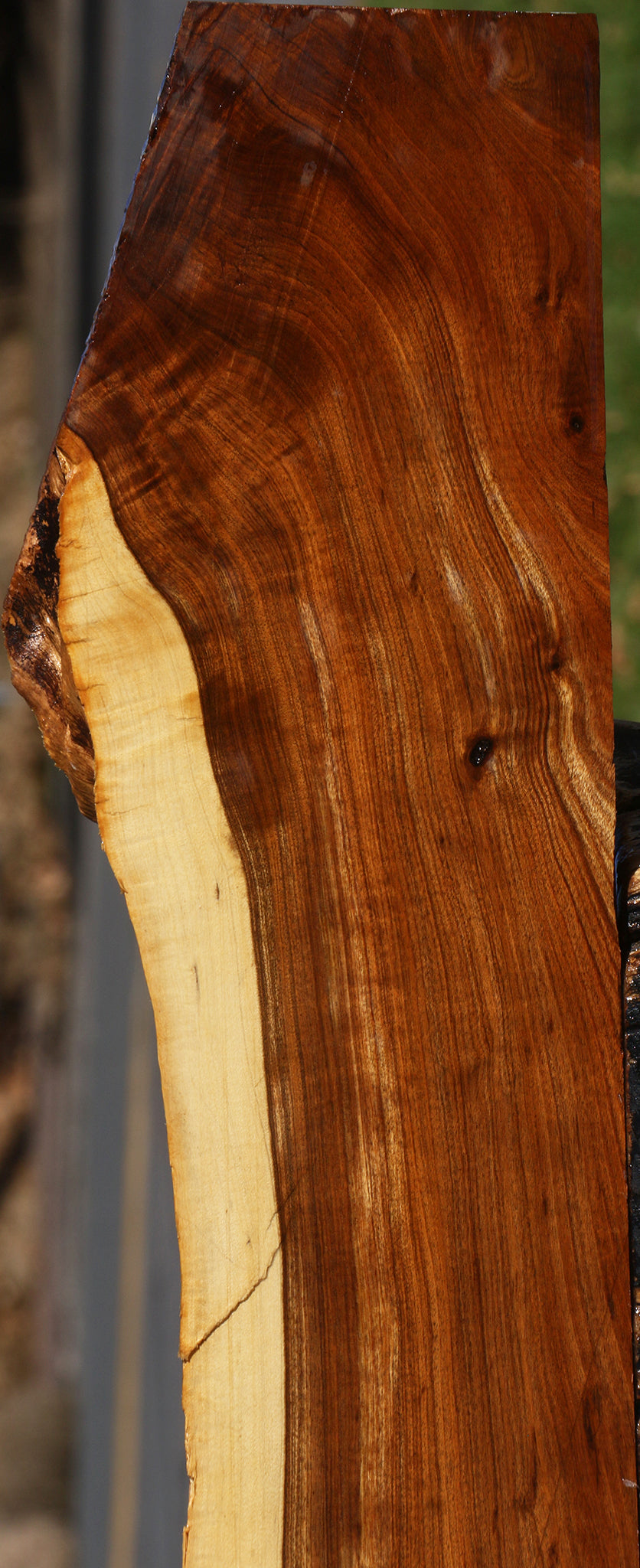 Figured Tamboti Live Edge Lumber