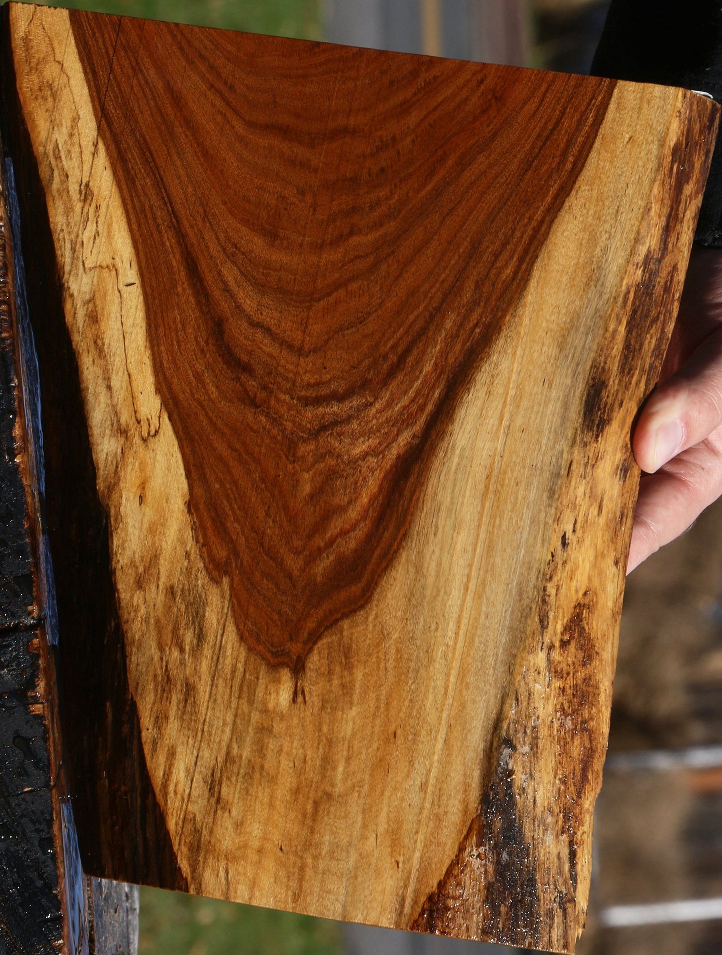 Tamboti Live Edge Lumber