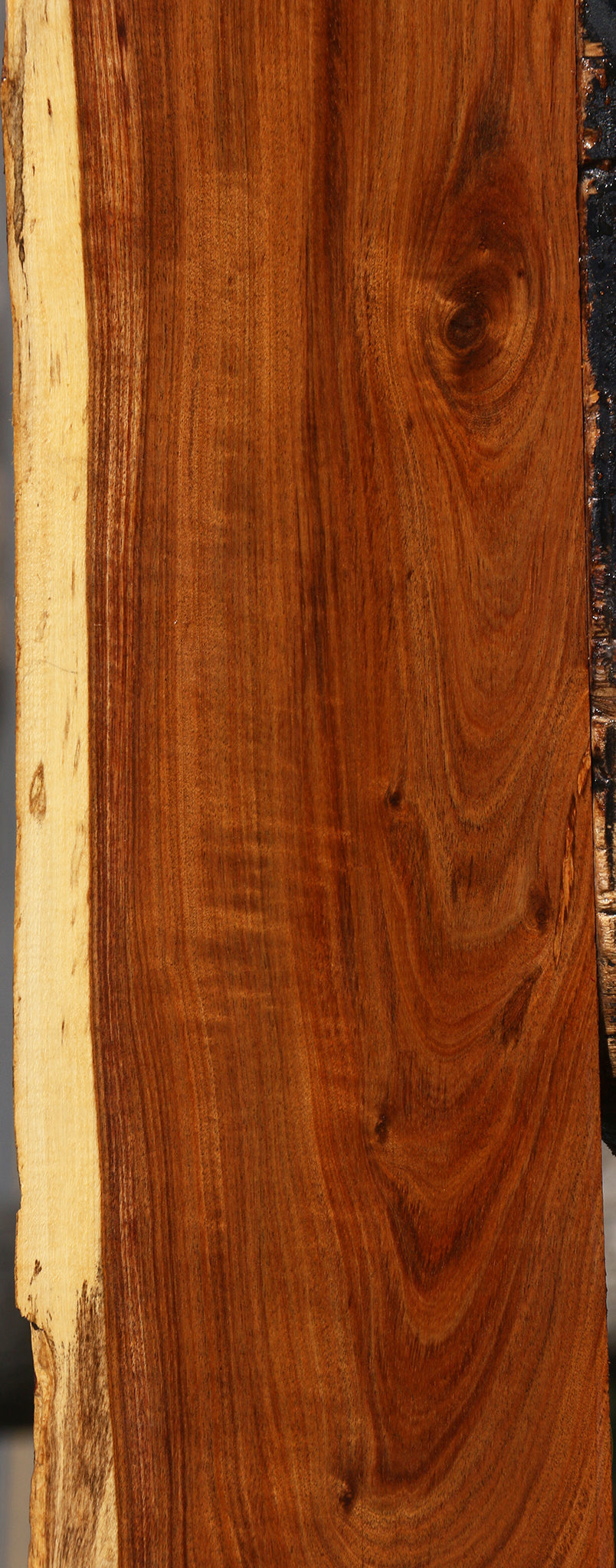 Figured Tamboti Live Edge Lumber