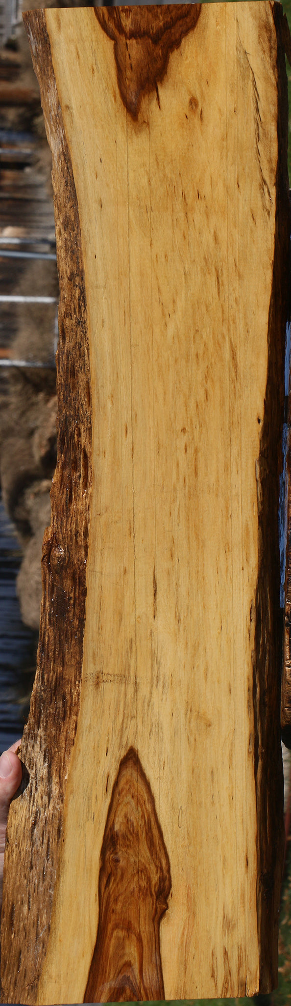 Figured Tamboti Live Edge Lumber