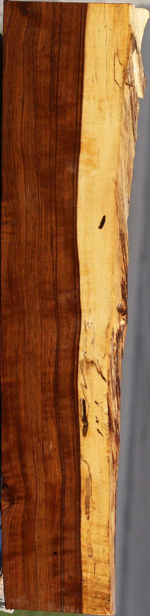 Figured Tamboti Live Edge Lumber