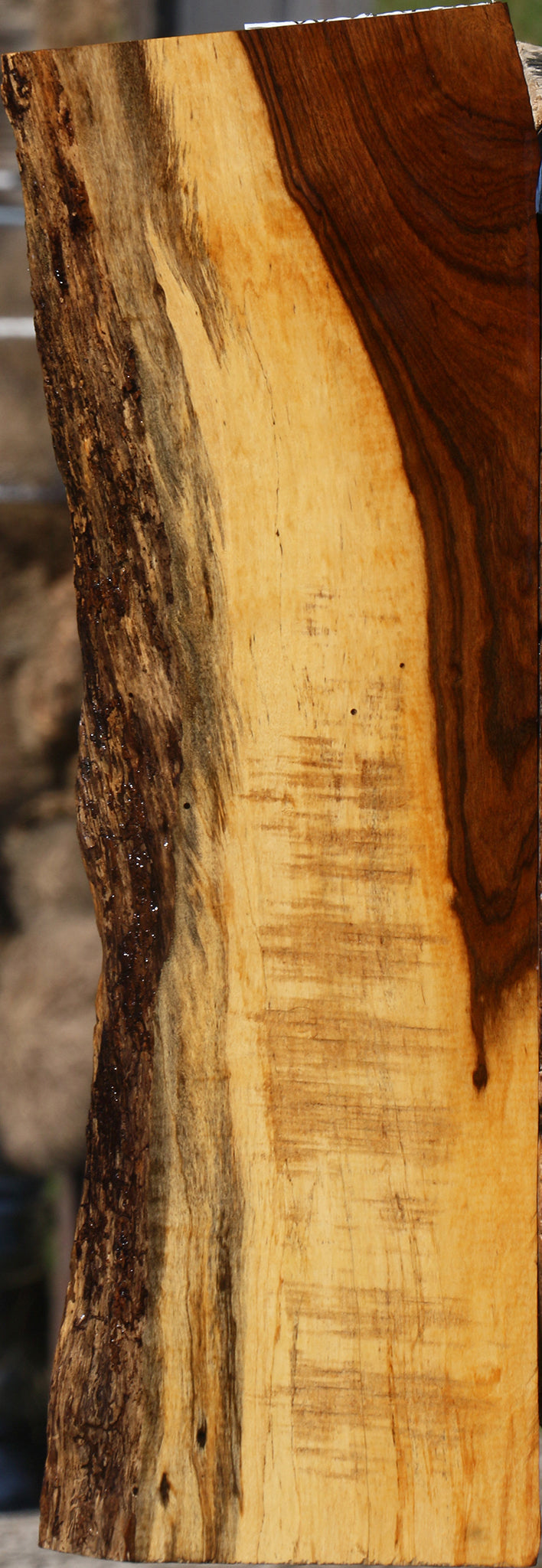 Tamboti Live Edge Lumber