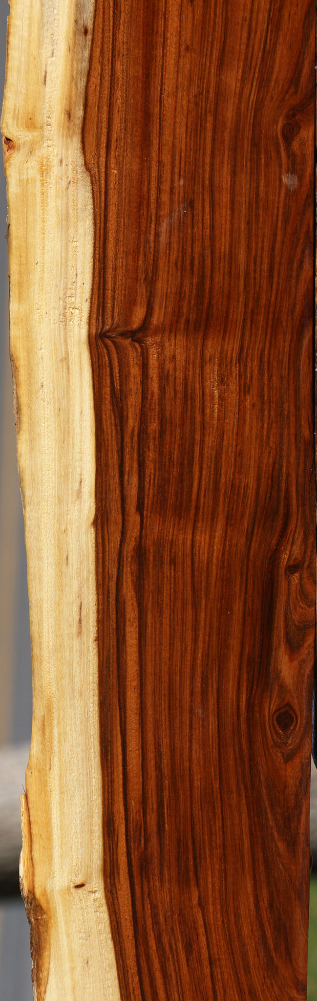 Tamboti Live Edge Lumber