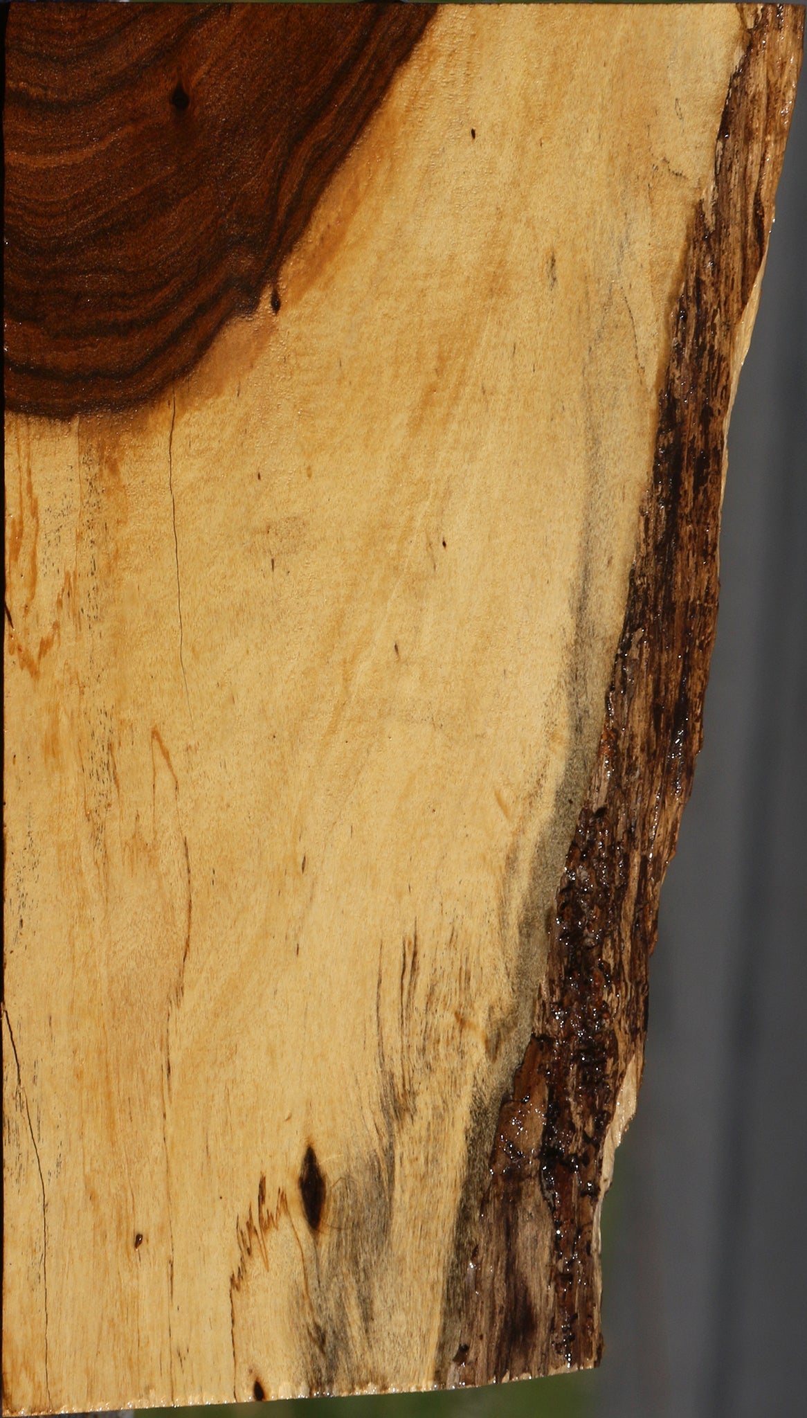Tamboti Live Edge Lumber