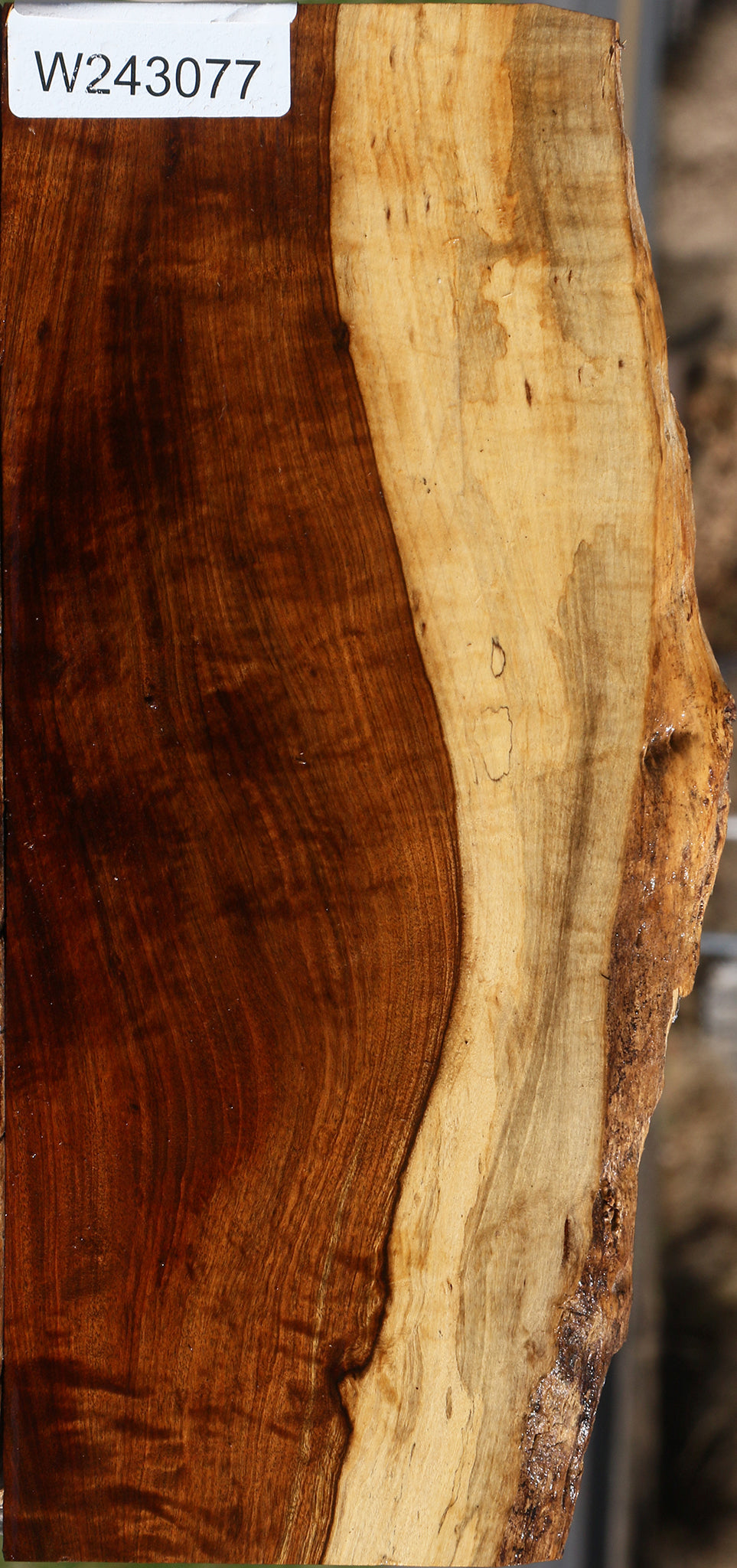 Extra Fancy Tamboti Live Edge Lumber