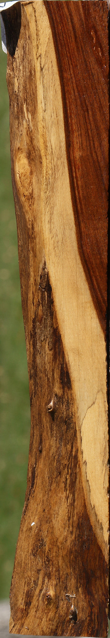 Tamboti Live Edge Lumber