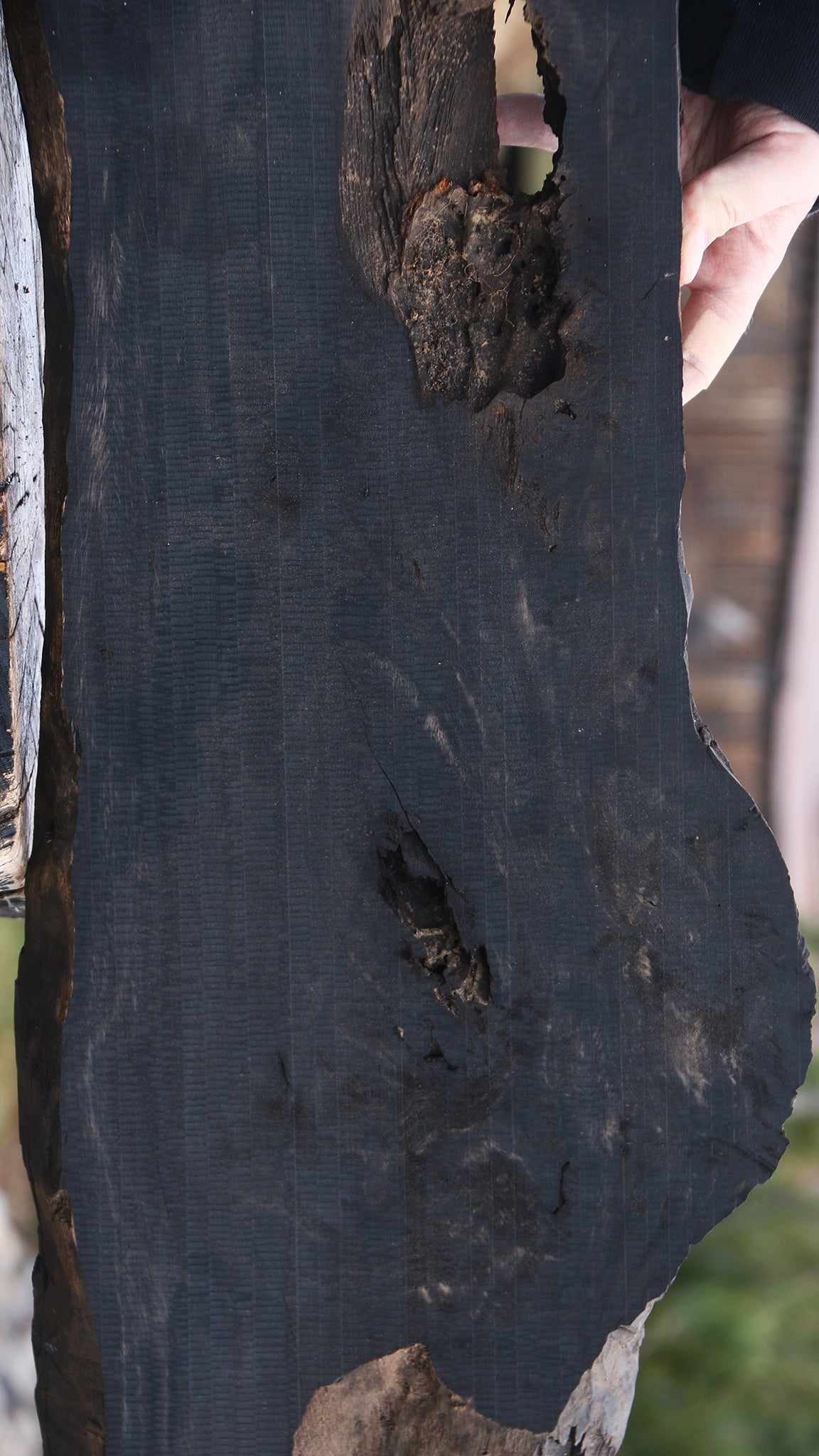 Rustic Gabon Ebony Live Edge Lumber
