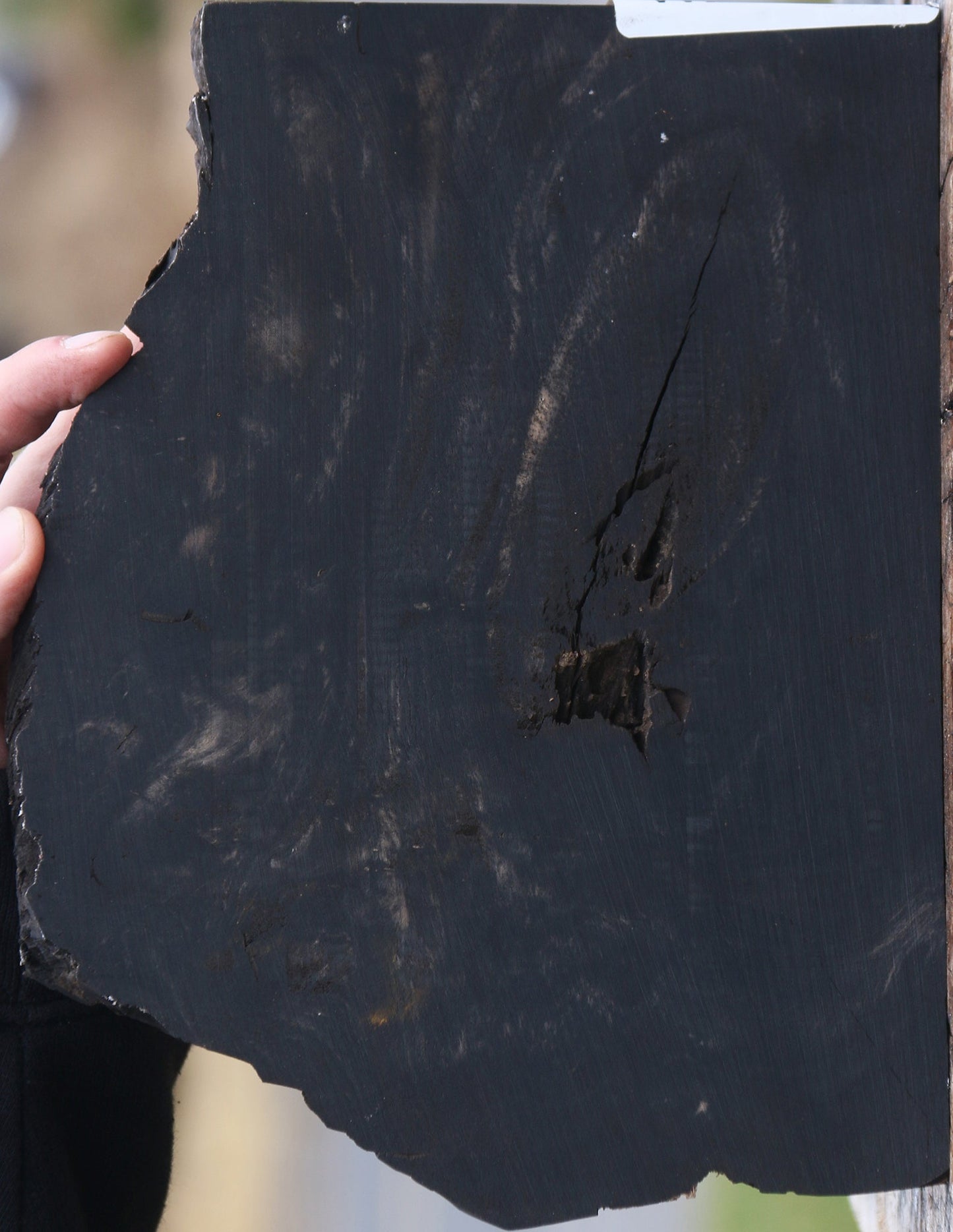 Extra Fancy Rustic Gabon Ebony Live Edge Micro Lumber