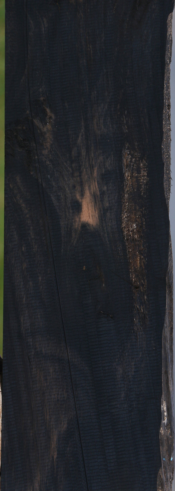 Gabon Ebony Live Edge Lumber