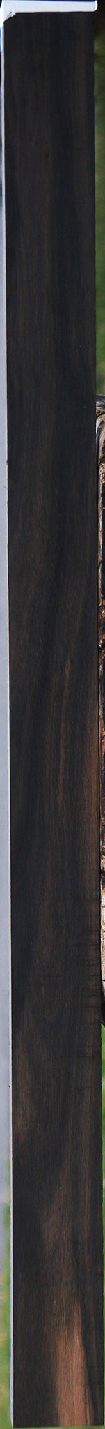 Gabon Ebony Micro Lumber