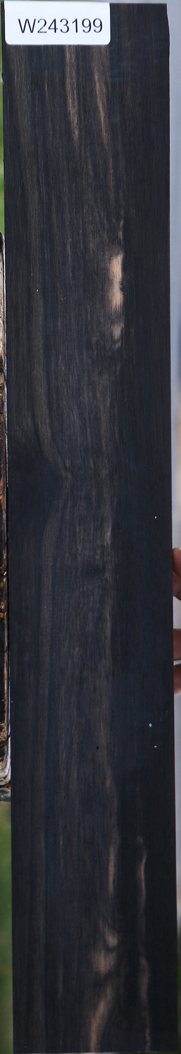 Gabon Ebony Micro Lumber