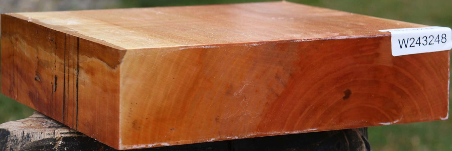 Figured Swiss Pear Bowl Blank