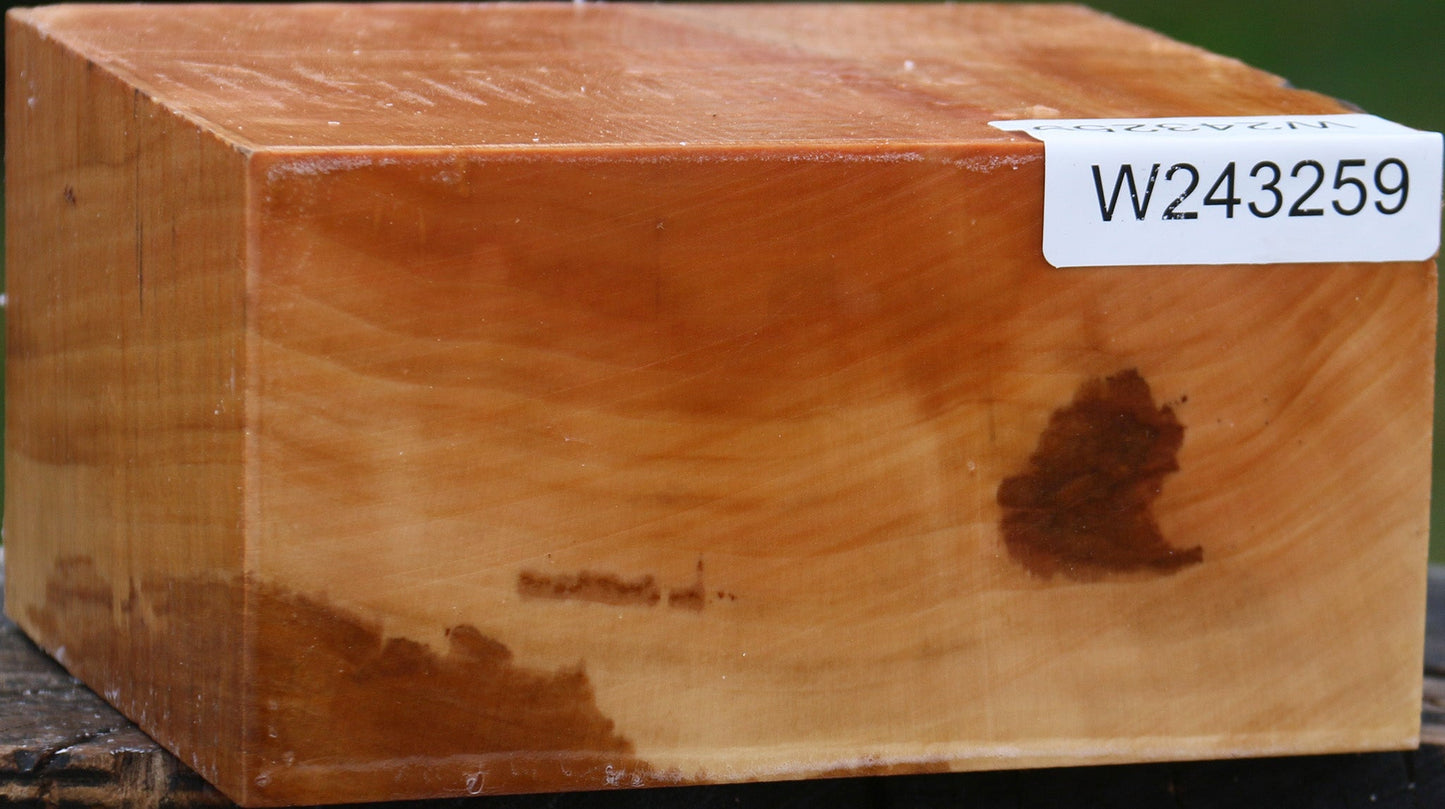 Figured Swiss Pear Bowl Blank