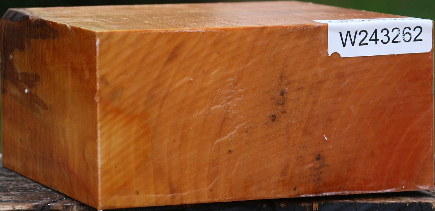 Figured Swiss Pear Bowl Blank