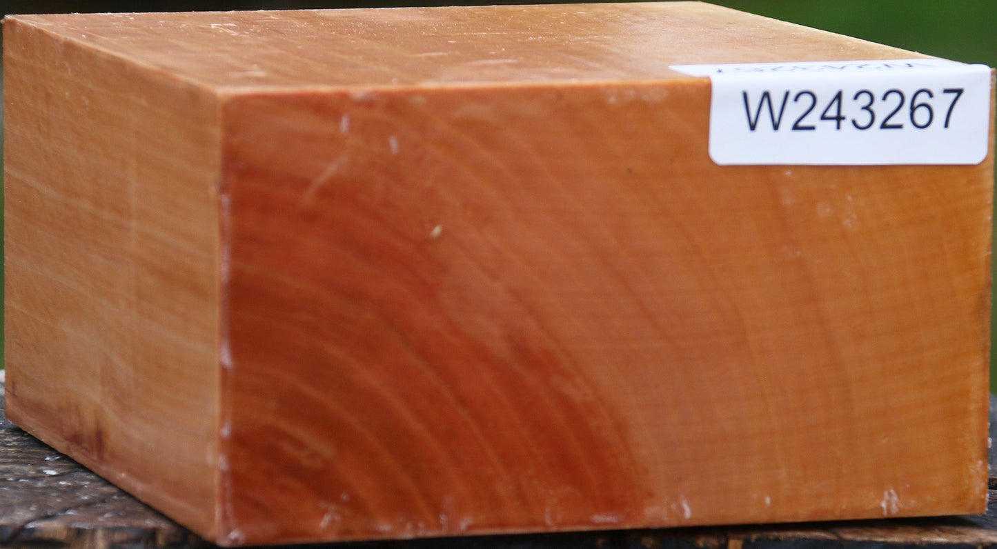 Figured Swiss Pear Bowl Blank