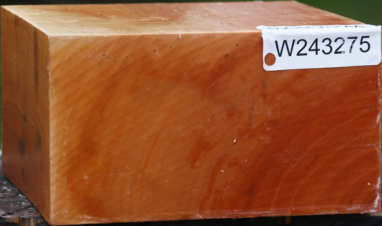 Figured Swiss Pear Bowl Blank