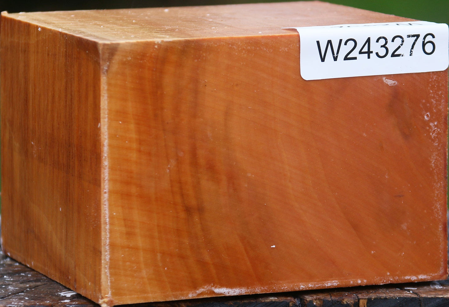 Extra Fancy Swiss Pear Bowl Blank