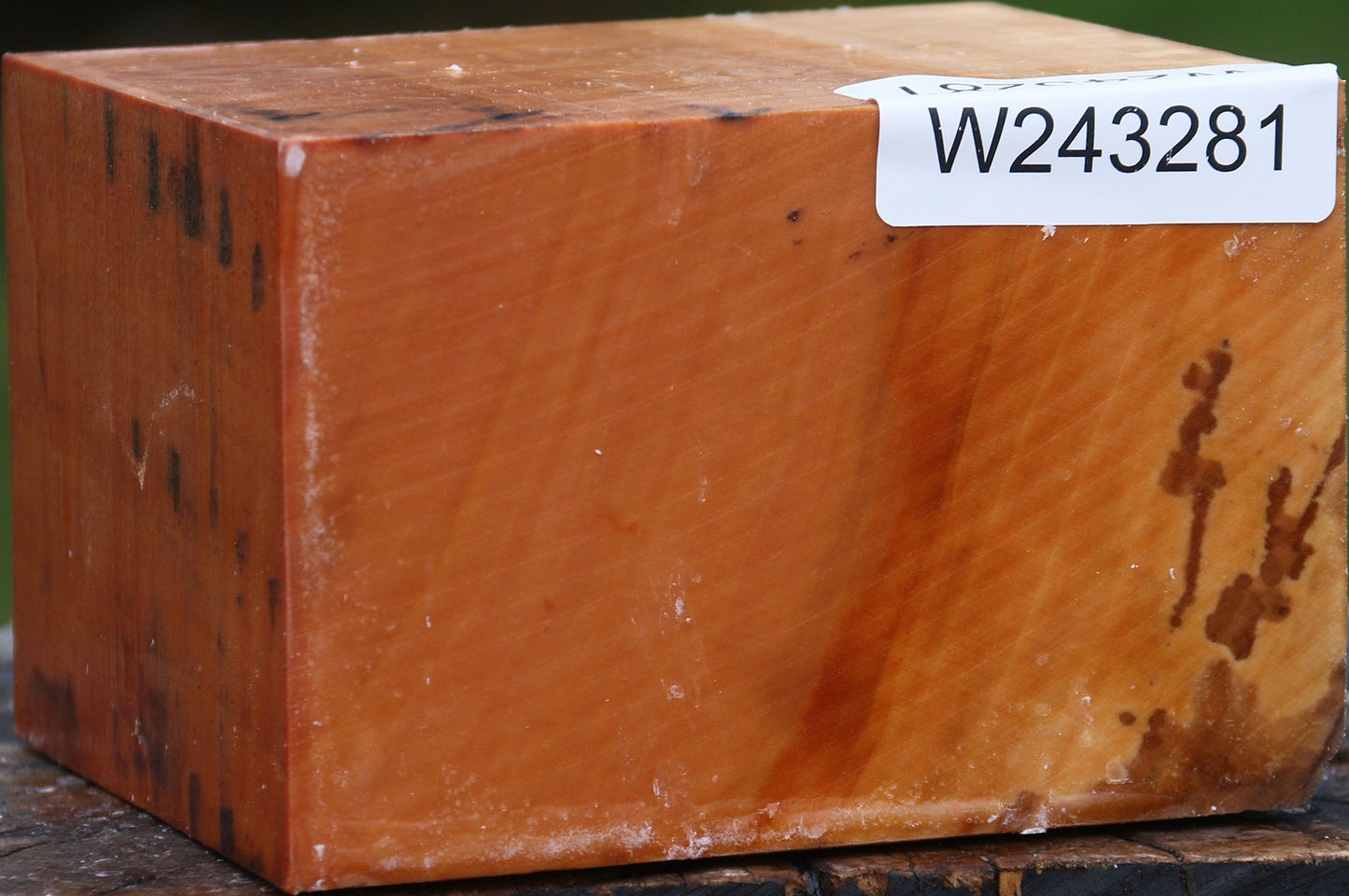 Extra Fancy Swiss Pear Bowl Blank