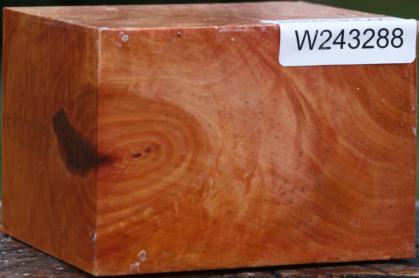 Extra Fancy Swiss Pear Bowl Blank