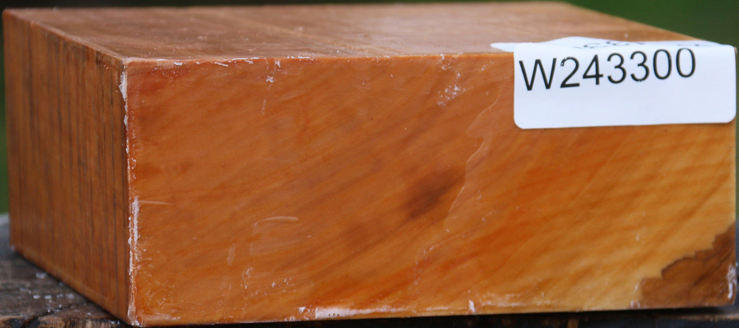 Extra Fancy Swiss Pear Bowl Blank