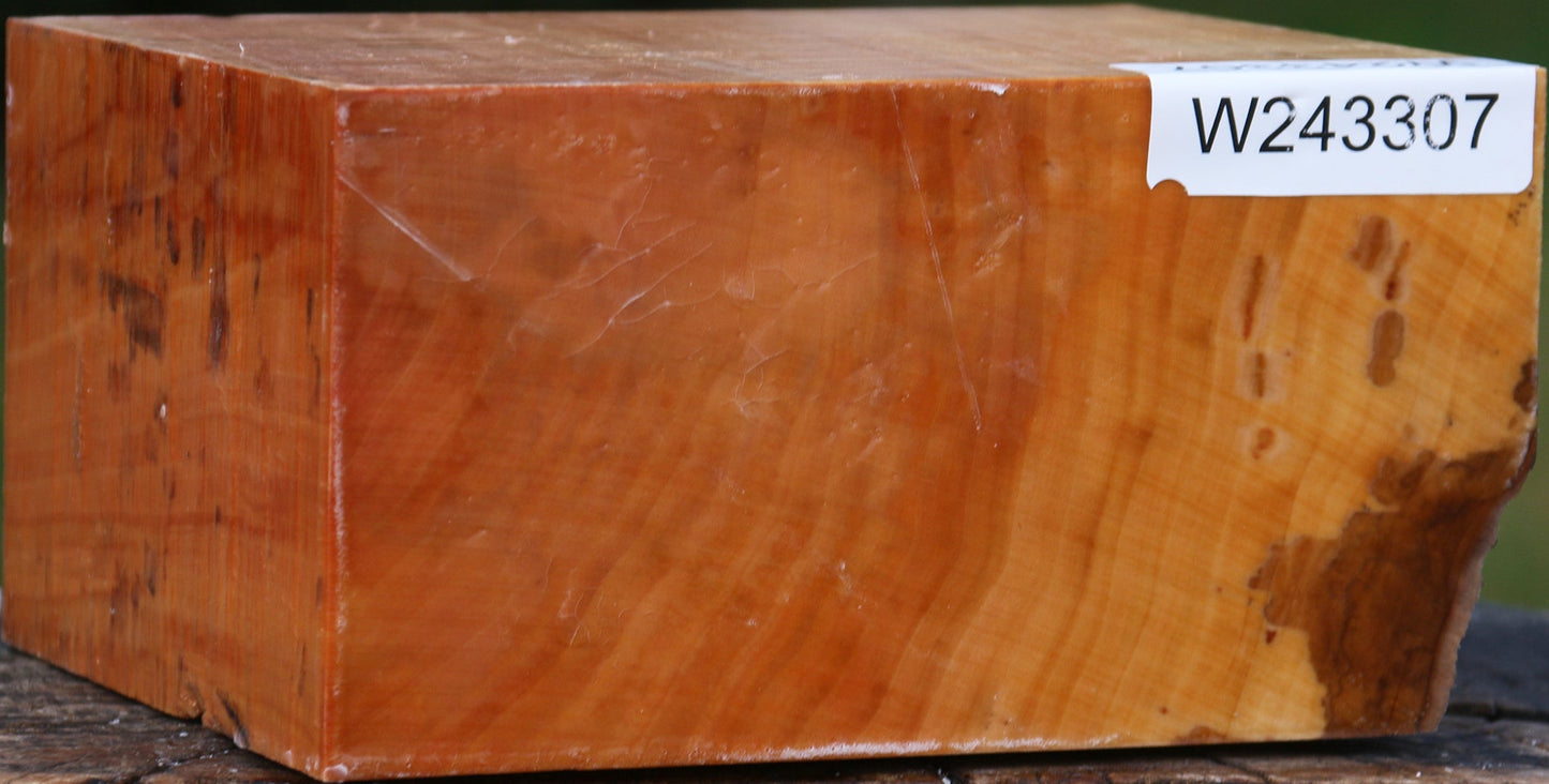 Extra Fancy Swiss Pear Bowl Blank