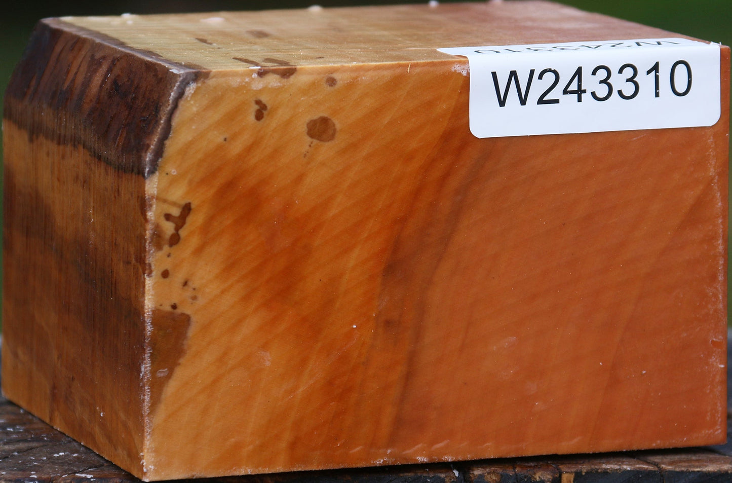 Extra Fancy Swiss Pear Bowl Blank