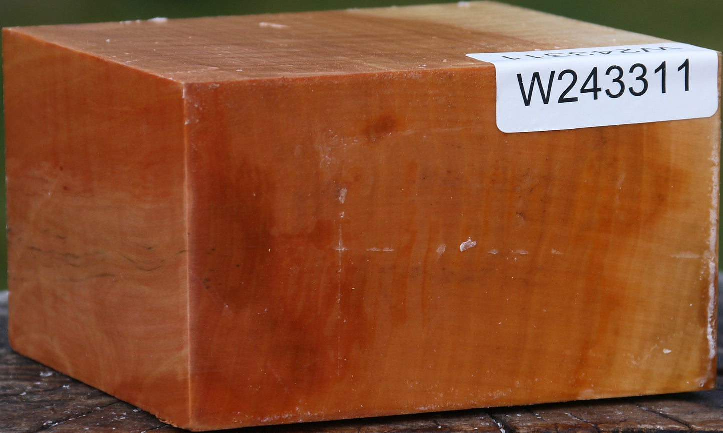 Extra Fancy Swiss Pear Bowl Blank