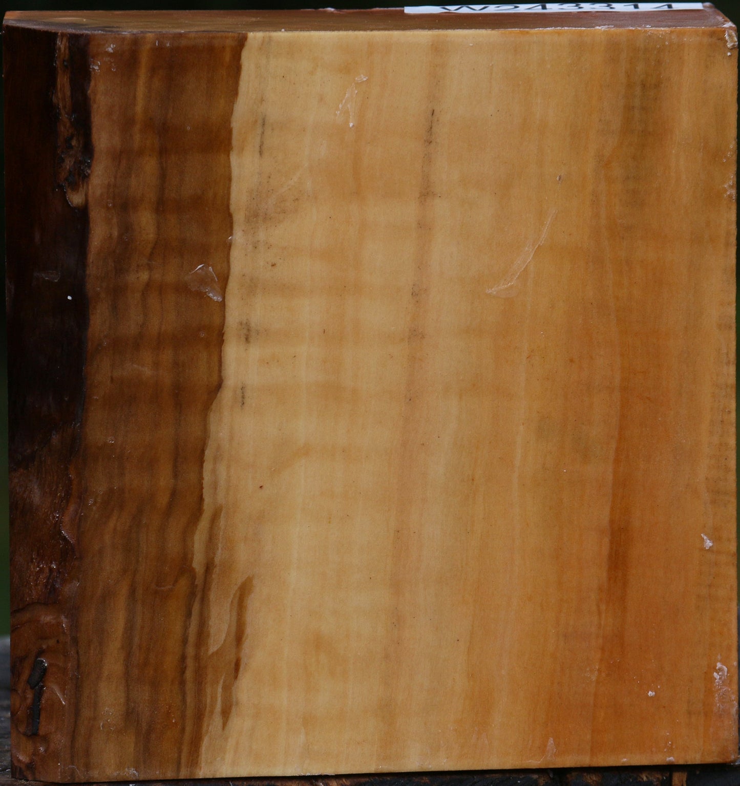 Extra Fancy Swiss Pear Bowl Blank