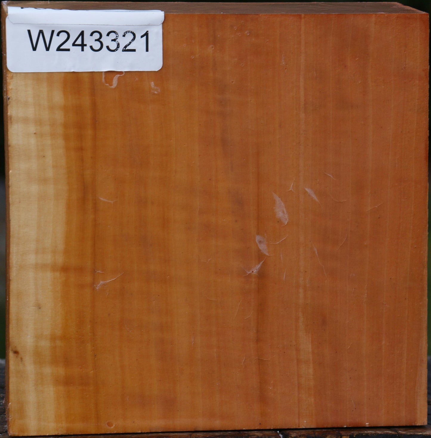 Figured Swiss Pear Bowl Blank