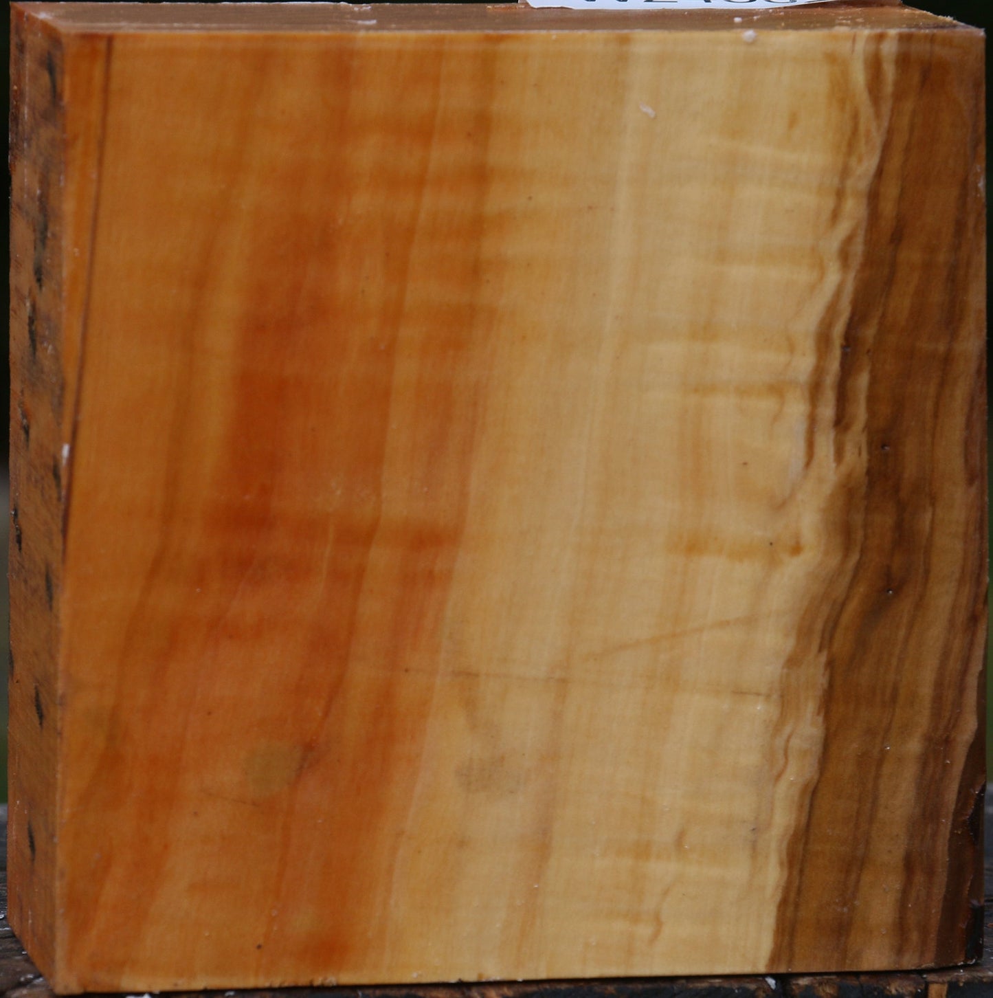 Extra Fancy Swiss Pear Bowl Blank