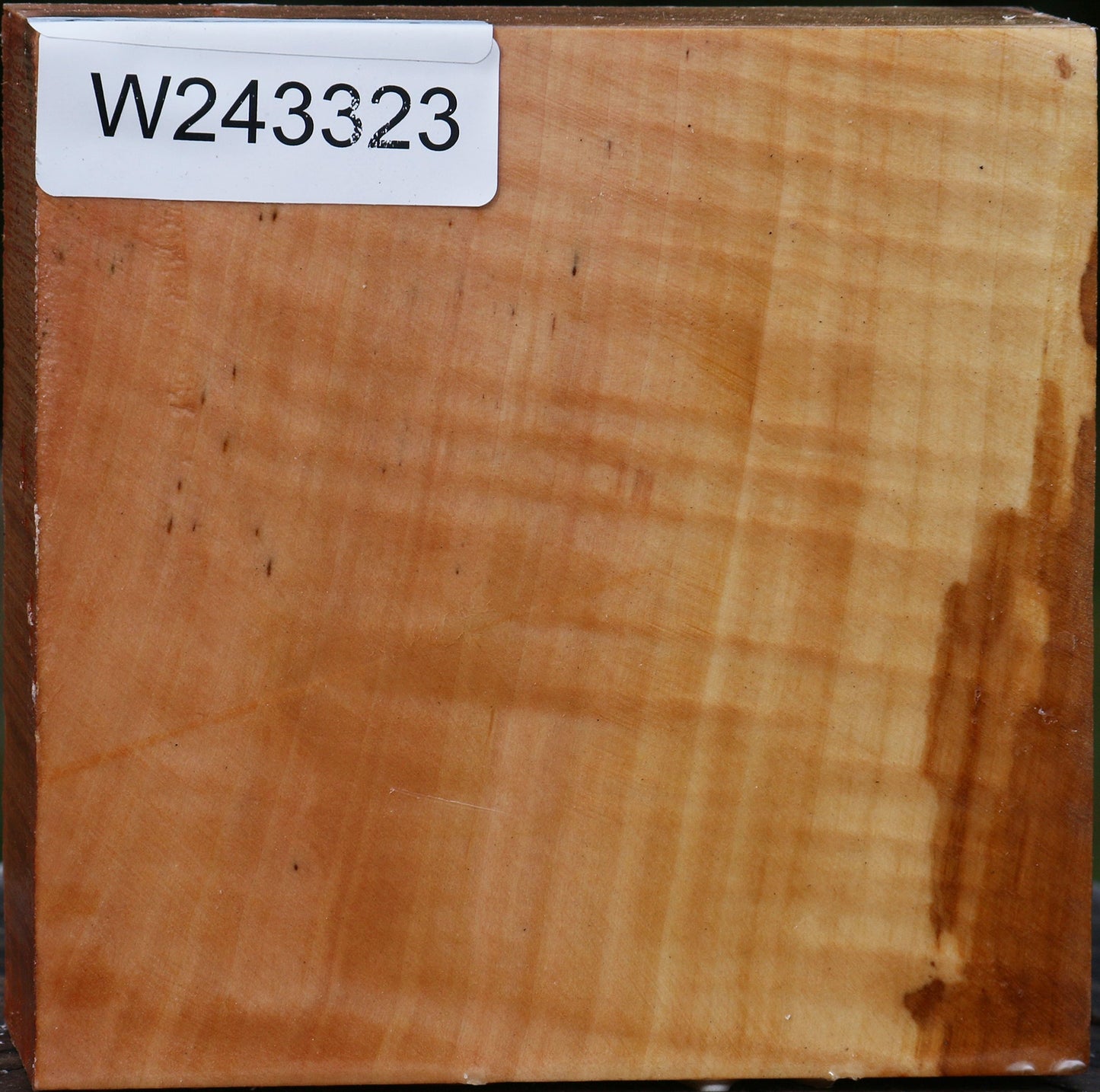 Extra Fancy Swiss Pear Bowl Blank