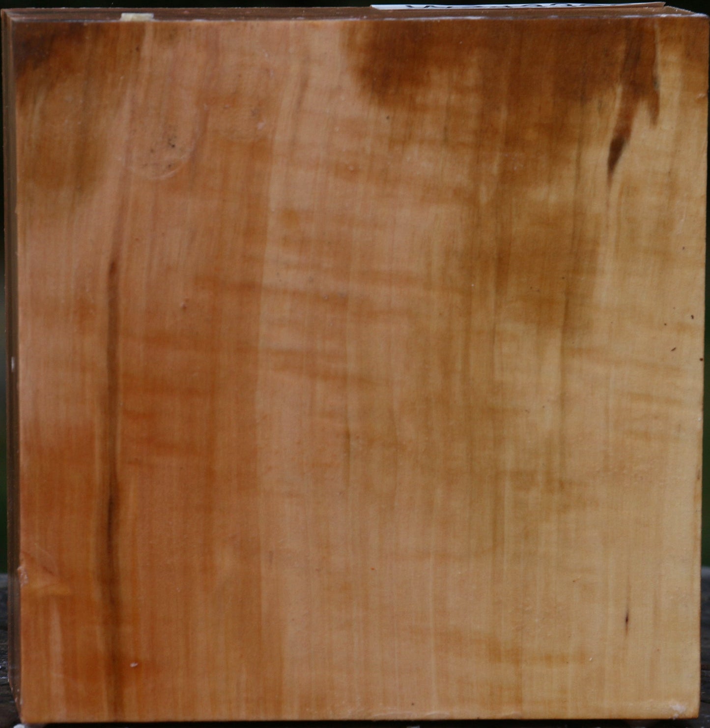 Extra Fancy Swiss Pear Bowl Blank