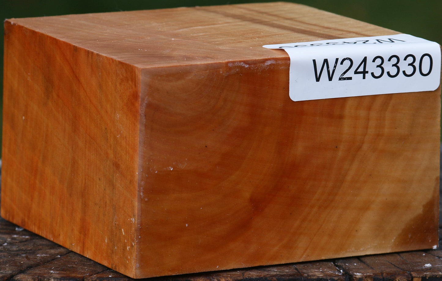 Extra Fancy Swiss Pear Bowl Blank